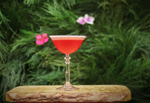 POMEGRANATE MEZCAL SOUR