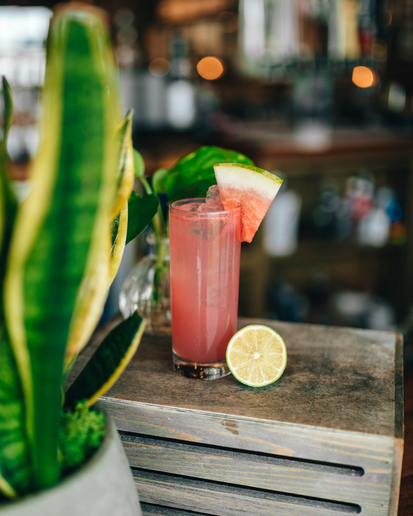 WATERMELON & GIN REFRESHER